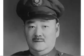 猪也能上树？大v萨沙为刘峙正名的雄文，值得商榷图片