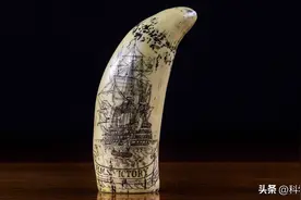 等大象老死，再取象牙不就行了？为何一定要杀死大象？图片