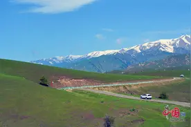 追着花儿看新疆|伊犁霍城中华福寿山初夏风光图片