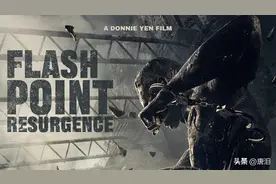 港影：《导火线2：再生》，甄子丹还能打多久？图片