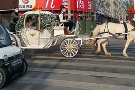 河南：合适吗？新人结婚乘坐马车在道路上行驶，装饰豪华惹人驻足图片