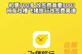 男子在飞猪旅行花700买机票改签要800多图片