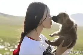 13年前，成都女子收养“狼儿子”，10年后“母子俩”在草原重逢图片