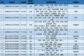 越秀能在合肥拿地，一点也不奇怪图片