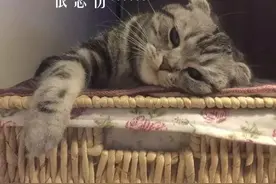 邻居每天早上六七点就开始装修，持续三个月了，多次交涉无果，我该怎么办？图片