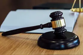 云南大象表演公益诉讼案一审宣判 法院：合理的驯养不是虐待，驳回原告诉请图片