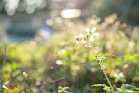 人老了，若手足间没了亲情时，请做好这些以免自我“内耗”图片