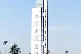 天津大邱庄图片