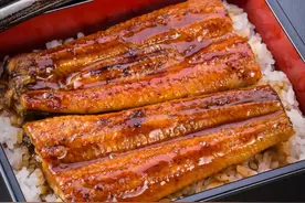 中国人餐桌上，每十条鳗鱼就有一条产自这个村图片