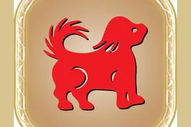 十狗九个苦！为什么多数属狗之人半辈子都在吃苦，何时苦尽甘来？图片