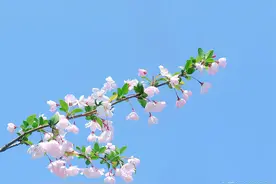 一个女人为什么不主动联系男人图片