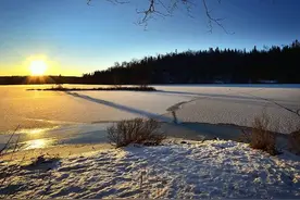 名字中带“婷”有什么寓意？图片