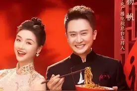 有颜值有才艺，在央视主持了18年的杨帆，为什么红不过尼格买提？图片
