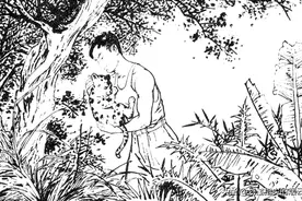 民间故事：莲花掌传奇图片