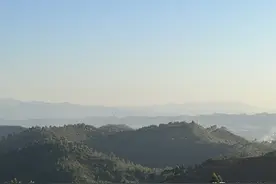 “独孤伽罗”的“伽”怎么读？图片