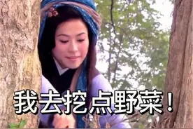 火爆全网刷爆热搜！“王宝钏挖野菜”到底是什么梗图片