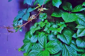 学习了解人体小宇宙与天地大宇宙的关系图片