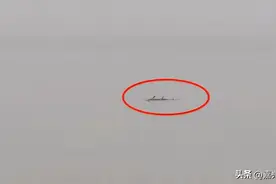 搁浅遇险！多方紧急营救比大熊猫还濒危的它！图片