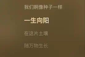 研究了所有的莫兰迪色系以后，我发现最显白的还得是这6种图片