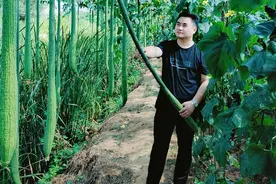 8年，8000万，这个90后小伙儿是怎么做到的图片