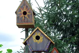 学会“正确的躺平”图片