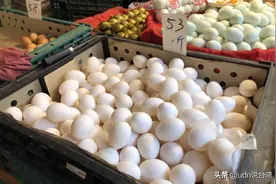 台湾2周后开学营养午餐恐掀抢蛋潮？ 陈吉仲回应了图片