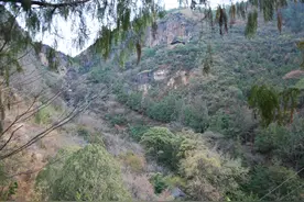 首秀自驾七日游之七（与新浪博客同步）图片