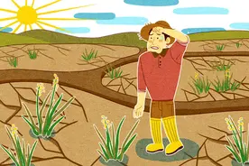 2022年8月份的天气会比7月更热吗？图片