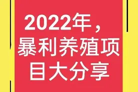 2022年，养殖什么能赚钱？图片