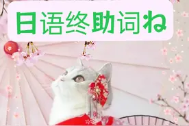 终助词ね的用法图片