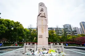 今天，继续“呼叫81192”图片