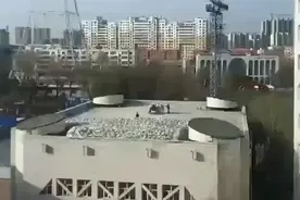 追光 | 齐齐哈尔学校体育馆坍塌 知情人：楼顶堆放有大量袋装材料图片