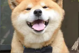 世界微笑日丨你笑起来的样子真好看图片