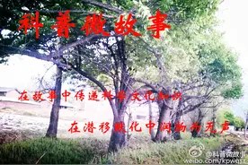 #科普微故事#我在电视上看到水蛇生小水蛇（第164期）图片