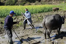 承包地有偿退出，每亩补贴多少钱？退出后再分地，还有份吗？图片