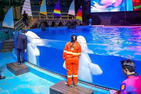 限时免费！四月，武汉极地海洋公园对警察、消防员、公交车司机等群体免费开放图片