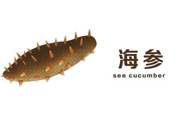 海参长期吃有什么好处 2026年海参长期吃有什么好处吗