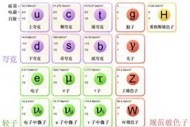 物质基本粒子介绍图片