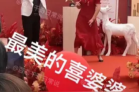 河南：新人结婚现场，喜婆婆上台表演，“做婆婆的还是稳重点好”图片