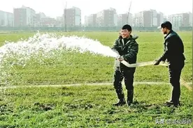 小麦开春后“第一水”应当如何浇？图片