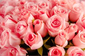 饱含爱意的七夕花束推荐，浪漫可劲造图片