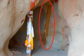 白公山外星遗址：百米铁管贯穿山体，距今15万年，疑似是地球植物图片