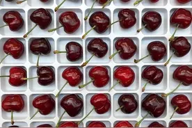 【还在考虑怎么买？我已吃了25斤】车厘子选购攻略与4家平台横评图片