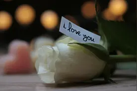 520，女大三，抱金砖，女大三十，送江山图片