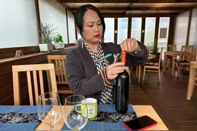 在斯洛文尼亚，中餐馆老板娘芳姐，邀请我品尝熊掌和野生羚羊肉图片