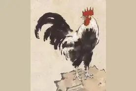 “鸡”是怎么被污名化的？图片