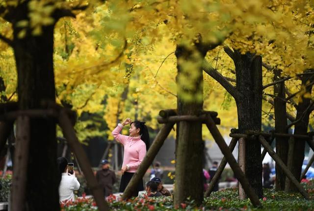 南明区：初冬时节好风景