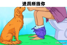 狗为什么会冲进厕所找你？狗狗常见的7种行为的科学解释图片