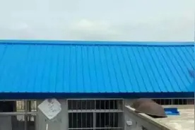 为什么农村现在很流行“彩钢顶”？到底有啥好处？大哥真相了图片