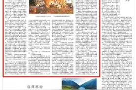 人民日报关注吉林｜东北虎的边界图片